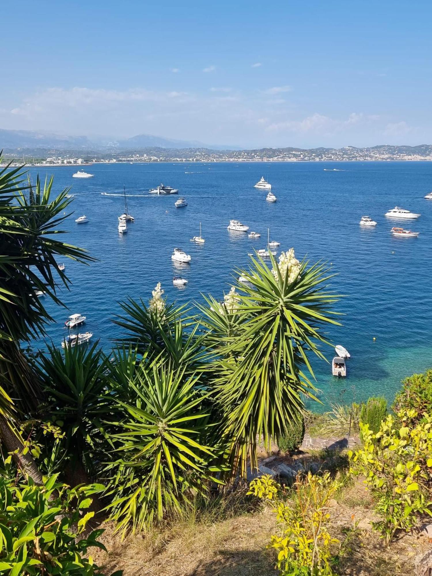 Villas And Suites La Coraillere Resort Théoule-sur-Mer Eksteriør billede